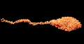 Seed