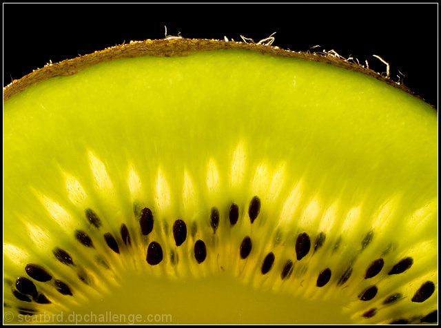 Kiwi Glow