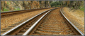 Parallel Lines