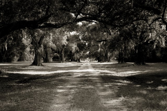 Leads me back to another place and time