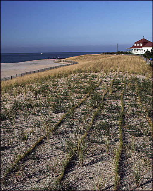 On The Dunes