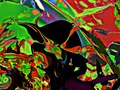Hidden Animals