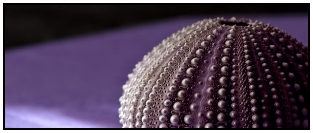 "Those are pearls that were his eyes"