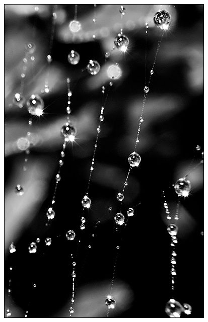 Spun and suspended