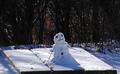I Fought the Thaw and the Thaw Won