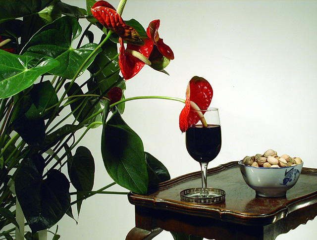 When was the last time you watered the plants, dear?