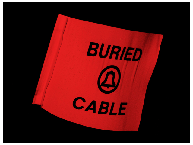 Cable Guy Epitaph