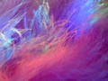 Purple Prisms
