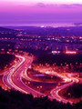 The way to purple city