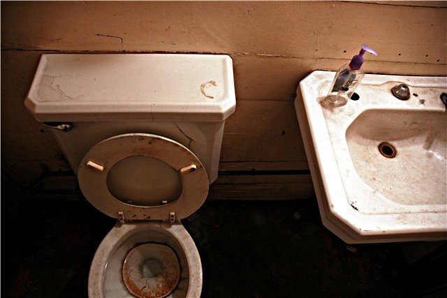 Pretty Purple Soap Pump in a Mechanic's Bathroom