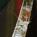 Splash