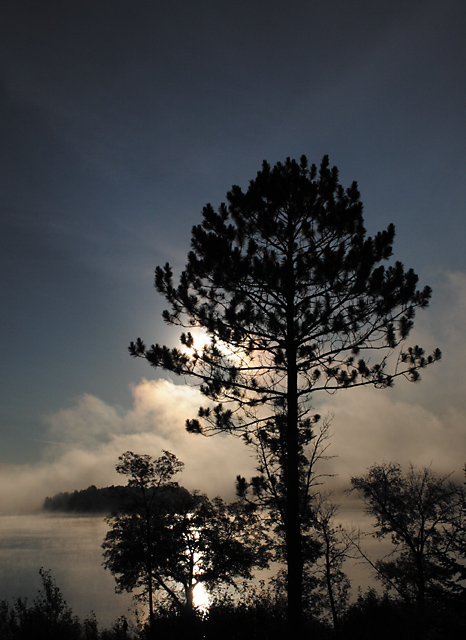 After the Storm