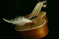 Soft Harmony
