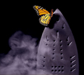 'Iron Butterfly' Rejected Album Art idea #14