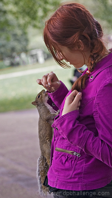 Girl & Squirrel