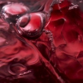 Izze Sparkling Pomegranate - Refreshingly Red