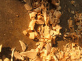 carvings