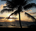 Island Sunrise