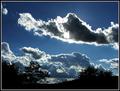 Nature's Sunglasses