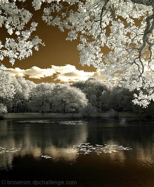 Saw Mill Pond in Infrared