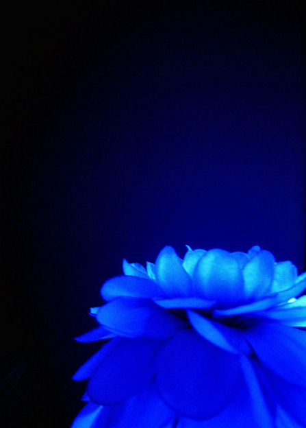 Sapphire Glow
