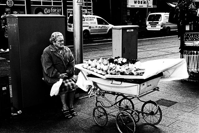 The Fruiterer