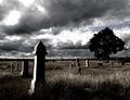Last Rites