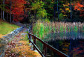 Path Into