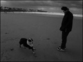 First Beach (Newport )