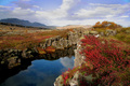 Color of nature