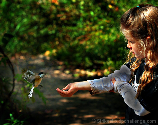 Nature's Child