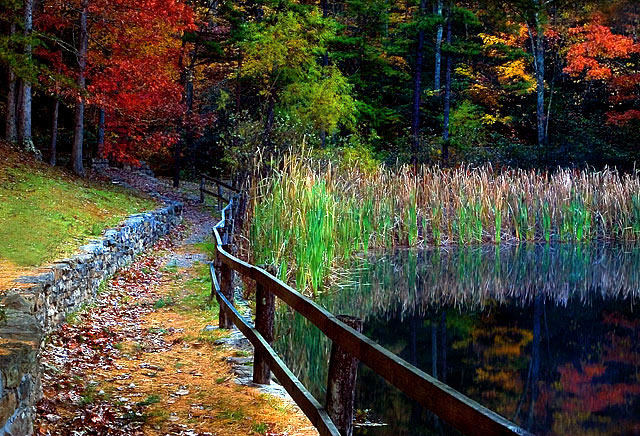 Path Into