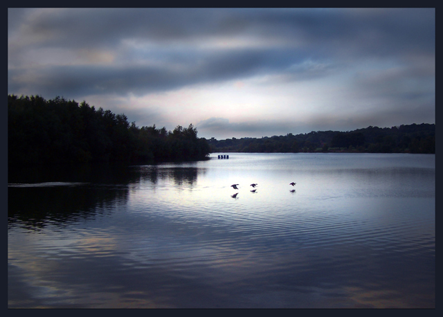 Lake at dusk