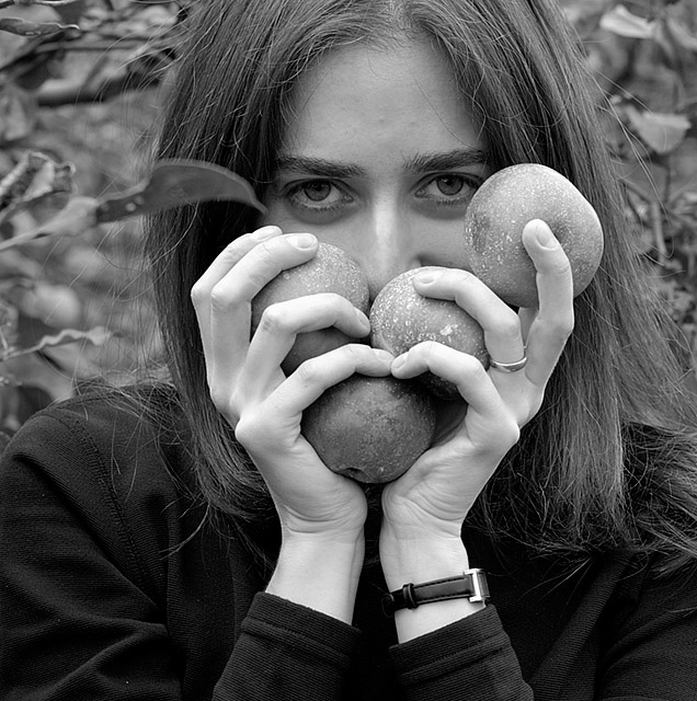 picking apples