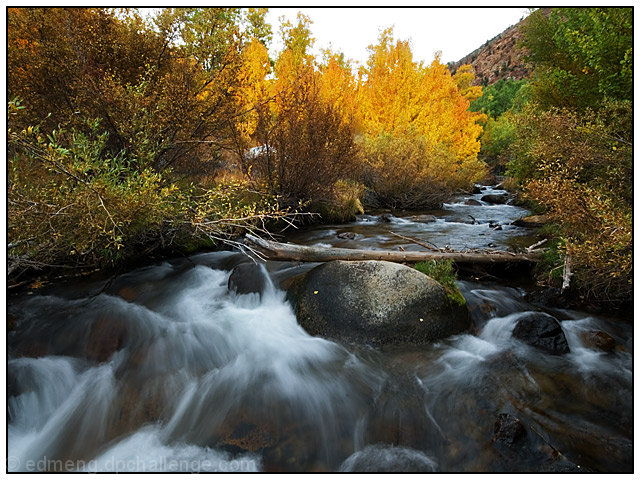 Autumn Hues