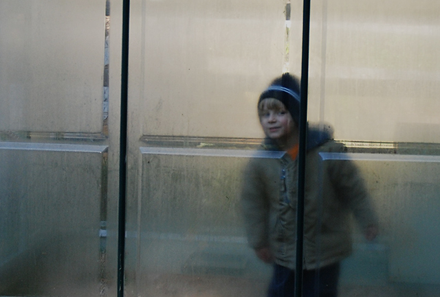 In a Glasshouse