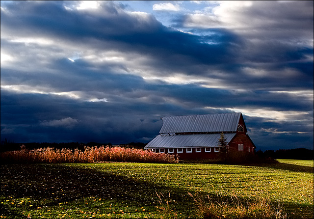 Barn Storm