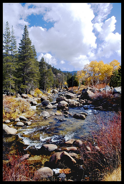 Aspen-Hope Valley, Ca