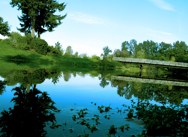 The Bridge