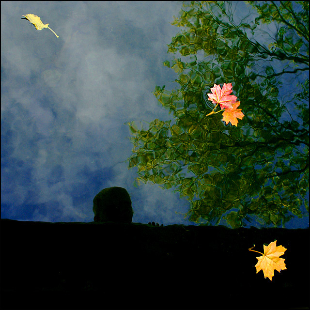 Reflections of Autumn