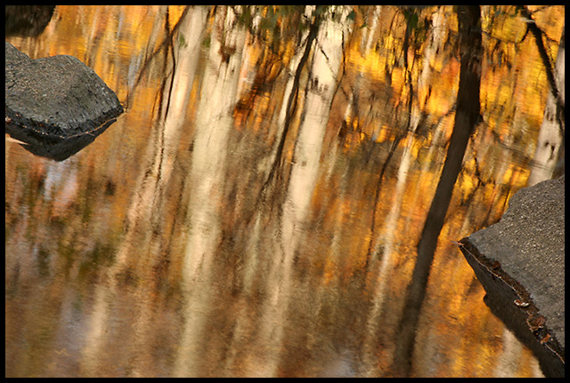 Autumn in the Woods