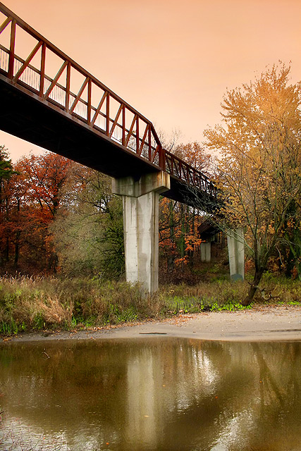 Autumn Silence