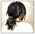 Dreads