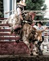 Portrait of a Bull Rider