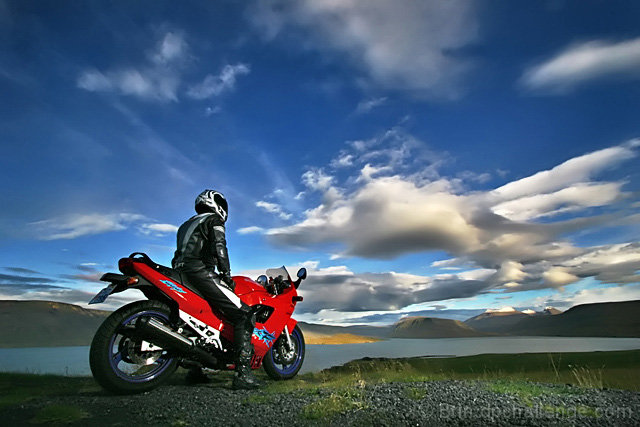 The black rider