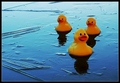 on thin ice