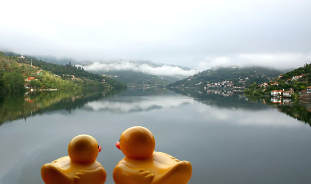 Why can't we live here, Mummy ?!