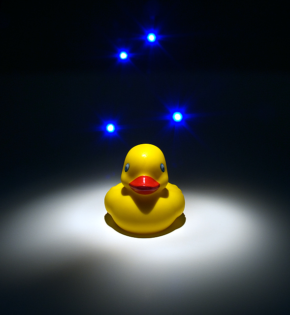 AB-DUCK-TION