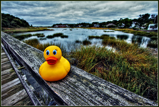Laughing at the demons of her past, Duckie returns to the slough where she was born.