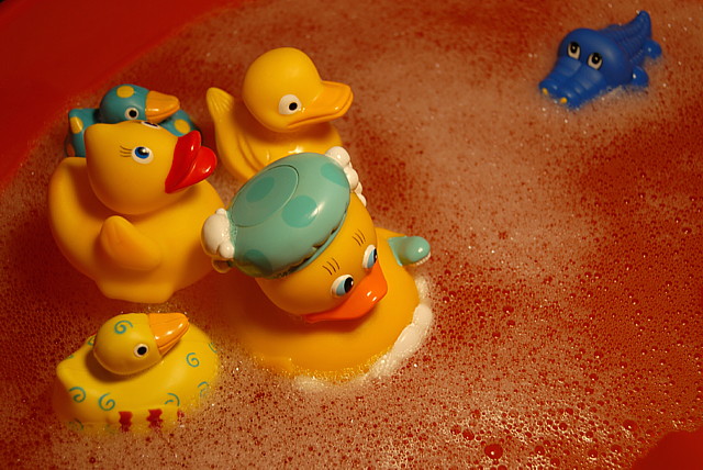 Plucky Duckies